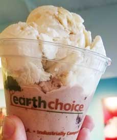 vacation ice cream from Earth Choice recommended by Ann Etter
