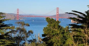 Photo from the Legion of Honor toward the Golden Gate Bridge with San Pablo Bay beyond. Sailboats dot the water's surface under the vivid blue sky. Photo by Karin Kallmaker