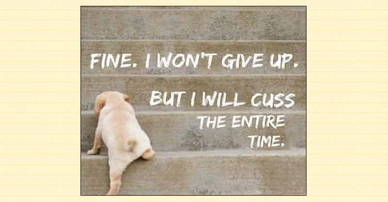 A wee puppy with a curly tail is climbing very steep brown stone stairs with caption "Fine. I won't give up. But I will cuss the entire time."