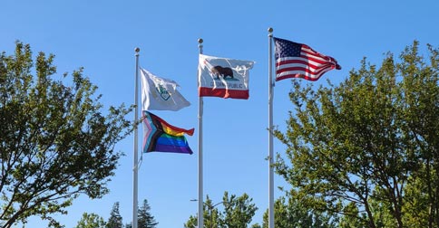 Blue sky and green trees behind Rainbow Progress, Dublin City, California State, and United States Flags snapping in the wind