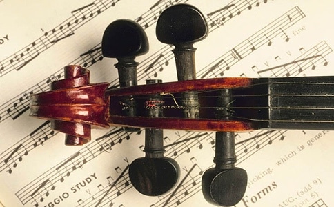 violin pegs and sheet music