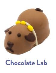 moonstruck chocolate lab truffle